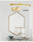 LED Mirror & Picture Light – Adjustable Wall Mounted Bathroom Vanity Lamp