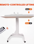 Theia All-Round 4-in-1 Electric Red Light Therapy Stand – Horizontal, Vertical & Sideway Positioning with Automatic Lifting