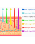 7 Color PDT LED Light Therapy Facial Machine – Professional Skincare Device