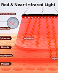 Theia Flexible Red Light Therapy Lamp