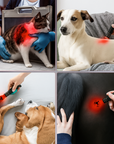 Theia Red Light Therapy Torch