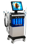 Theia Beautymaster Hydra 14 In 1 Diamond Peeling Hydro Microdermabrasion Oxygen Jet Aqua Facials Skin Care Cleaning Hydra Dermabrasion Facial Machine
