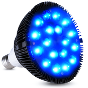 Theia Led Blue Light Therapy Bulb 460nm Beauty Lamp