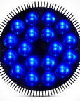 Theia Led Blue Light Therapy Bulb 460nm Beauty Lamp