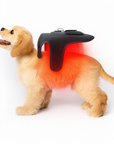 Pet Red Light Therapy Vest for Cats & Dogs Pain Relief, Post-Surgery Recovery & Inflammation Support