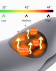 Theia Lumbar Traction Device For Lower Back Pain