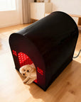 THEIA VetRed Pro Pet Red Light Therapy Cage – 1638 LEDs, 660nm/850nm Veterinary Recovery Chamber for Cats & Small Pets