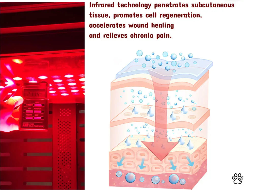 THEIA VetRed Elite 5-Spectrum Red Light Therapy Chamber for Dogs & Cats – 630nm–850nm Infrared Pet Wellness & Relaxation System
