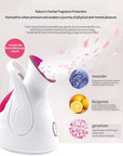 Theia Ionic Facial Pro Hydro-Mist Steamer