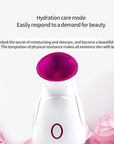 Theia Ionic Facial Pro Hydro-Mist Steamer