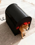 THEIA VetRed Pro Pet Red Light Therapy Cage – 1638 LEDs, 660nm/850nm Veterinary Recovery Chamber for Cats & Small Pets