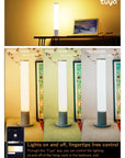 10,000 Lux Intelligent Phototherapy Lamp with Bio-Rhythm Lighting