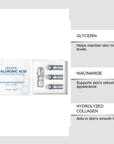 Niacinamide MicroNeedle Skin Renewal Roller Kit – 0.25mm Facial Microneedle System with Niacinamide Moisturizing Serum 30ml