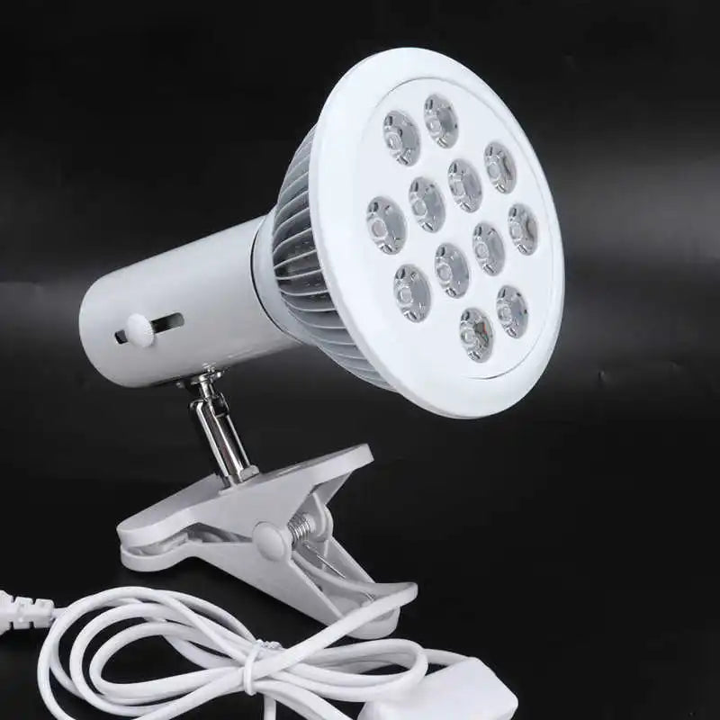 Theia Led Blue Light Therapy Bulb 460nm Beauty Lamp