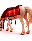 Horse Red & Near-Infrared LED Back Blanket – Battery-Powered Equine Wellness Light Pad
