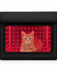 THEIA Pets RecoveryBox Pro