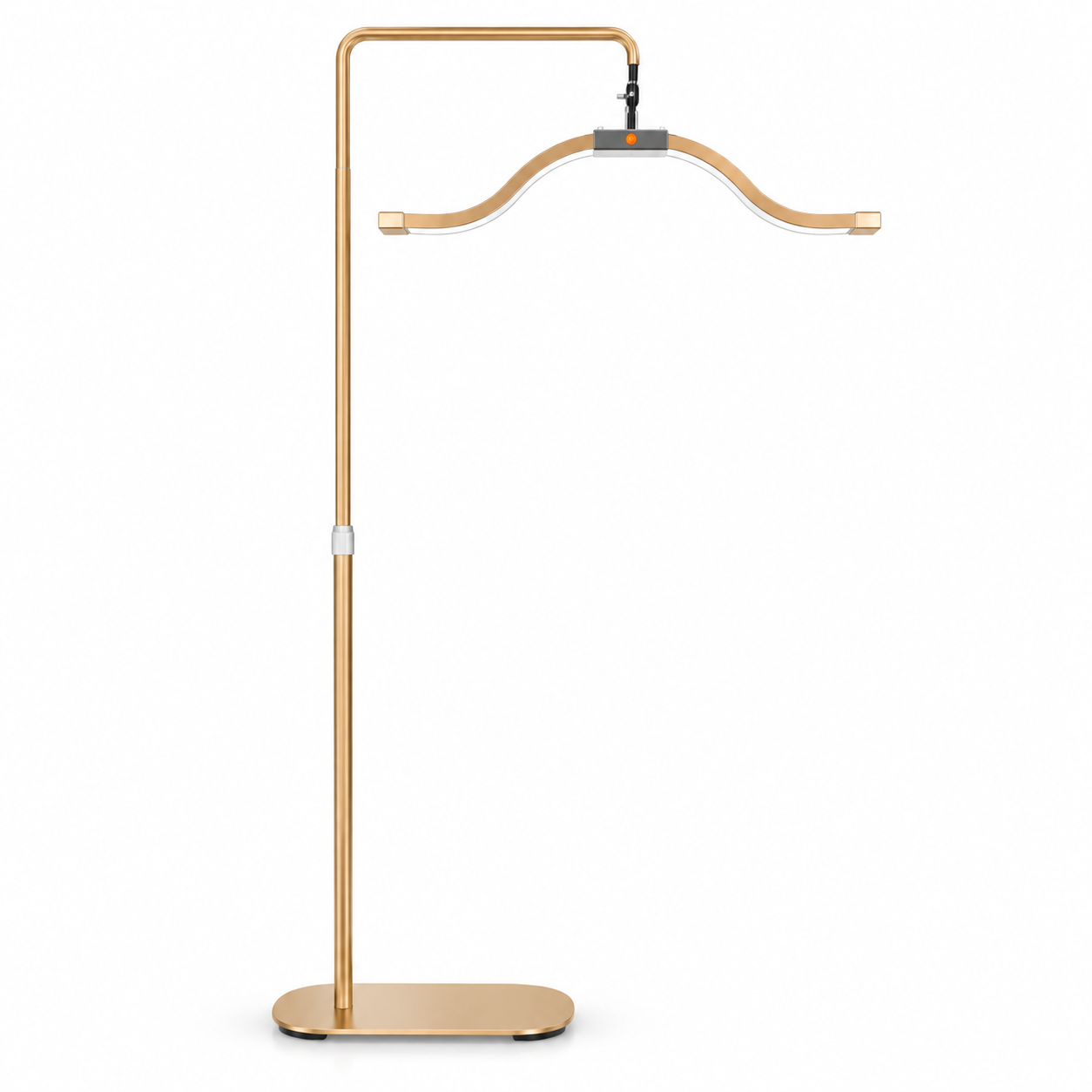 Professional 2-in-1 Curved LED Beauty Floor Lamp