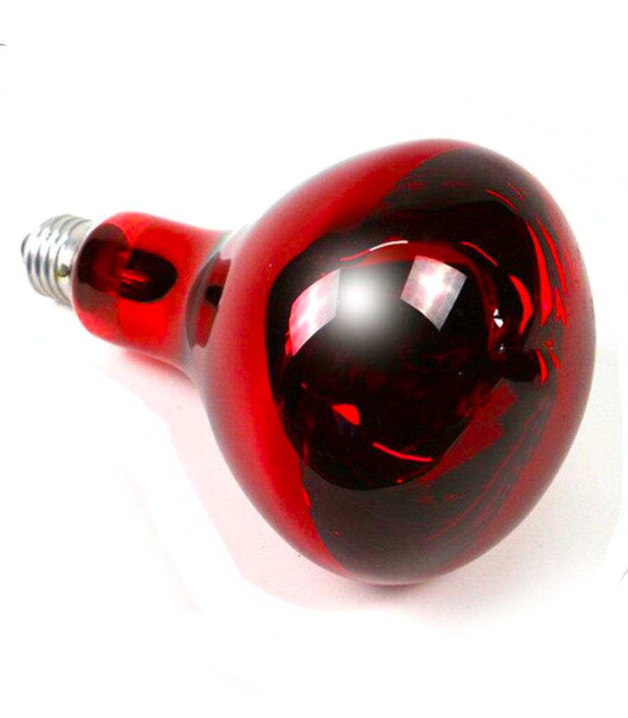 Theia NIR-A Near Infrared Bulb Grade A - 250W Red